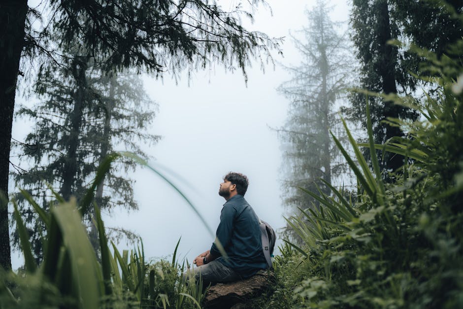 A man sits in a serene misty forest, embracing nature's tranquility.
